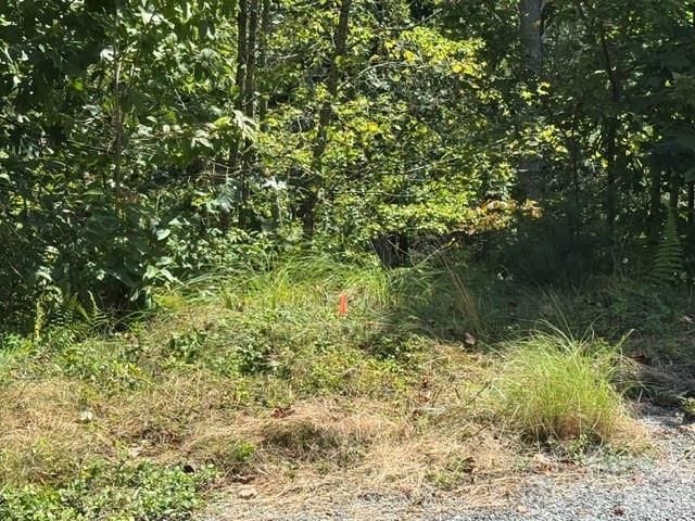 TBD Jarvis Drive, Hendersonville, NC 28792