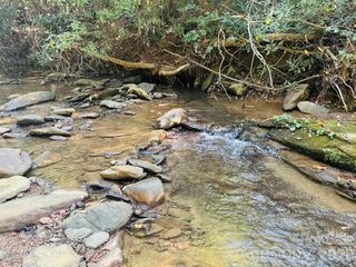 TBD Jarvis Drive, Hendersonville, NC 28792
