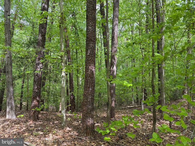 41160 LIVING WATER LN, Mechanicsville, MD 20659