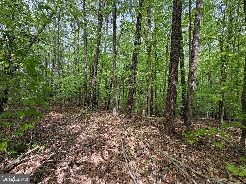41160 LIVING WATER LN, Mechanicsville, MD 20659