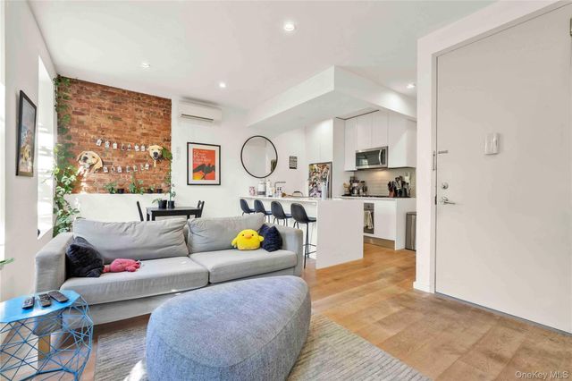 43 Halsey Street 3, Brooklyn, NY 11216