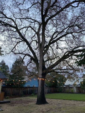 164 Via Del Sol, Walnut Creek, CA 94597