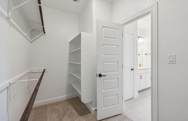 16805 Catemaco WALK, Manor, TX 78653