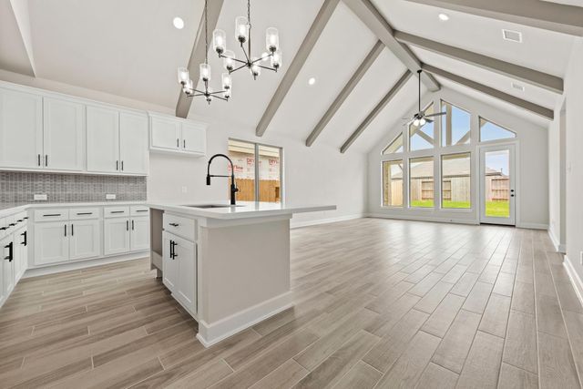 27114 Prairie Blazingstar Way, Hockley, TX 77447