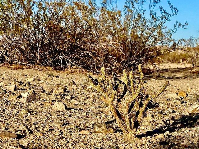 75000 Cottonwood Drive, 29 Palms, CA 92277