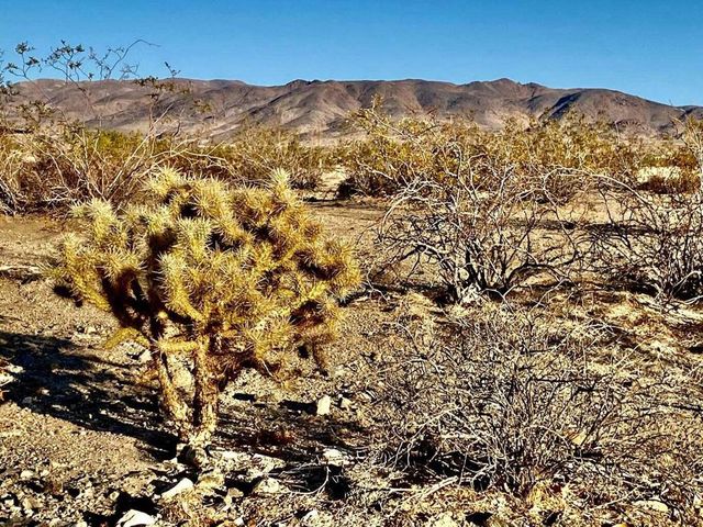 75000 Cottonwood Drive, 29 Palms, CA 92277