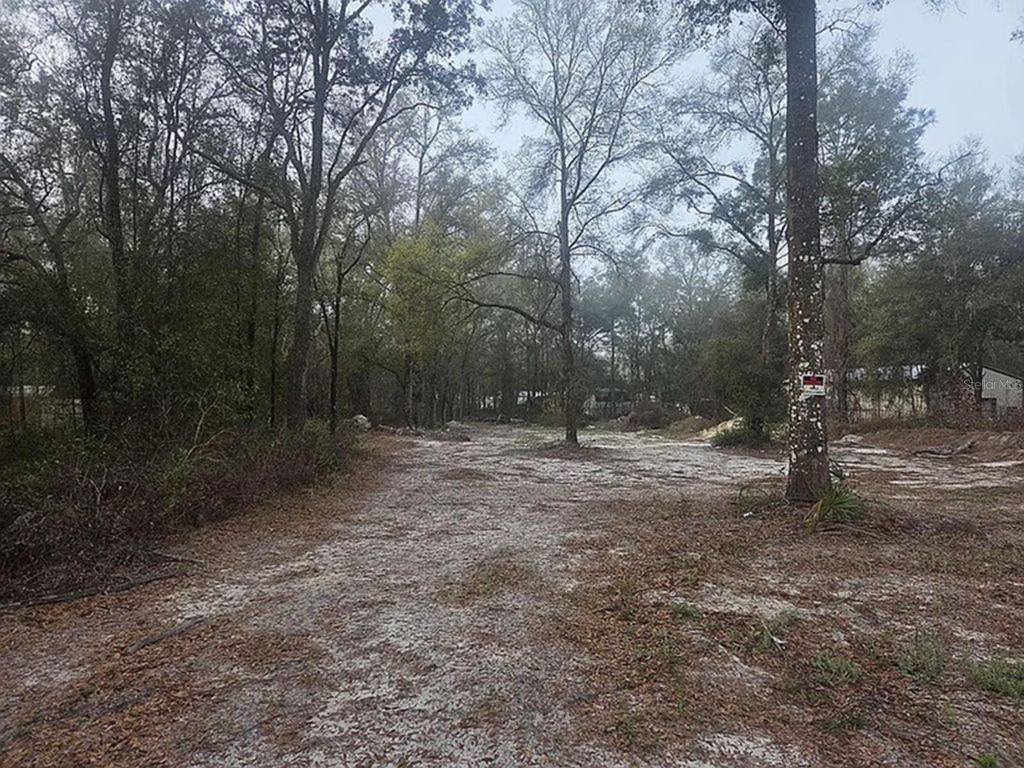 SW 156TH PLACE, Dunnellon, FL 34432