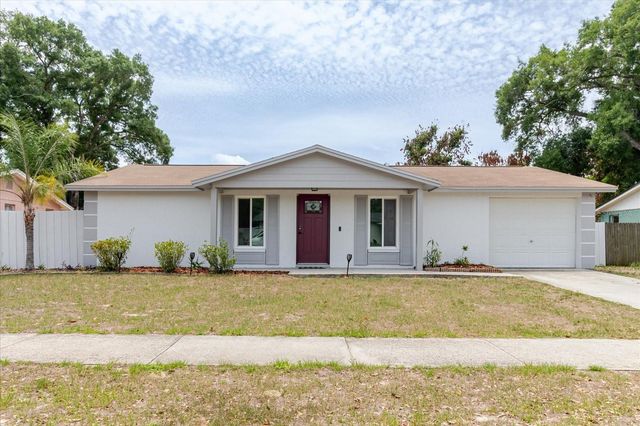 2207 SELKIRK STREET, Valrico, FL 33594