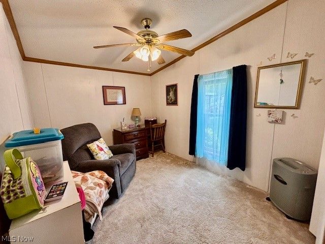 147 Northgate Drive NE, Warren, OH 44484