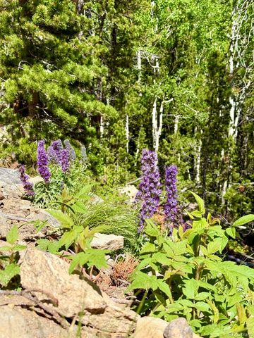 Lot 5 Roosevelt Ridge, Black Hawk, CO 80422