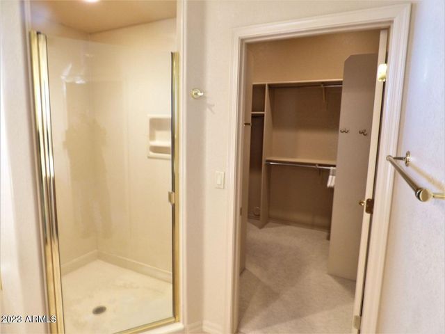 25603 N SAGO Drive, Rio Verde, AZ 85263