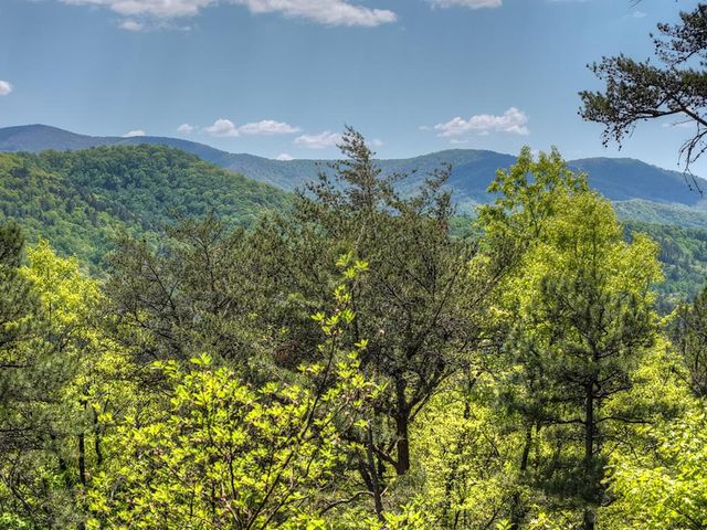 146 Rosiey Lane, Blue Ridge, GA 30513