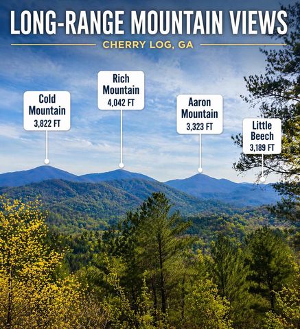 146 Rosiey Lane, Blue Ridge, GA 30513