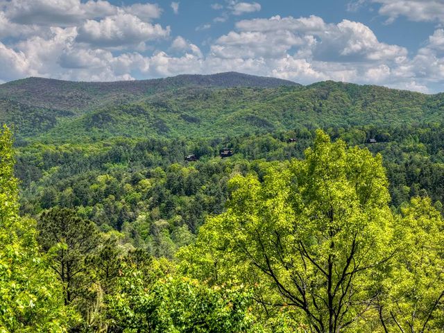 146 Rosiey Lane, Blue Ridge, GA 30513