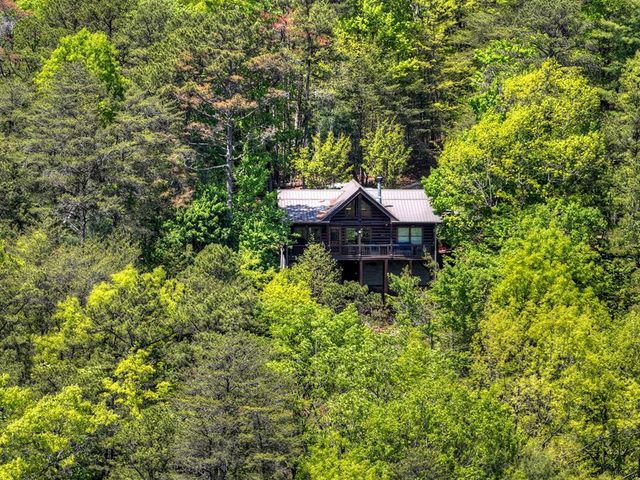 146 Rosiey Lane, Blue Ridge, GA 30513