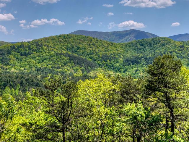 146 Rosiey Lane, Blue Ridge, GA 30513