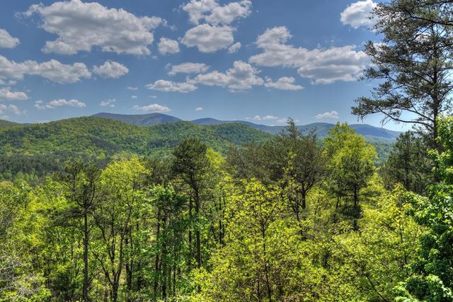 146 Rosiey Lane, Blue Ridge, GA 30513