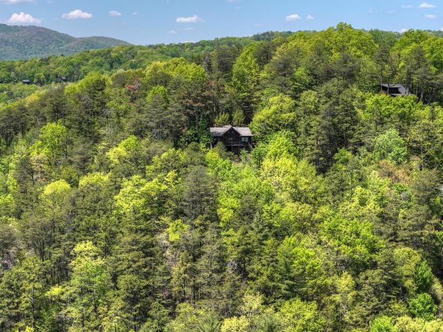 146 Rosiey Lane, Blue Ridge, GA 30513
