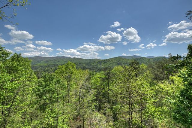 146 Rosiey Lane, Blue Ridge, GA 30513