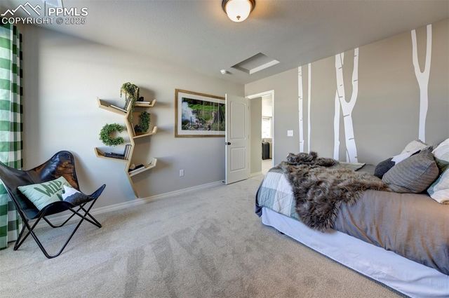 8268 Sophia Lane, Falcon, CO 80831