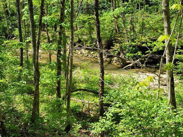 1557 Beaver Road, Walton, KY 41094