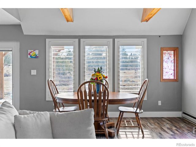 100 S Cucharas Mountain Court, Livermore, CO 80536