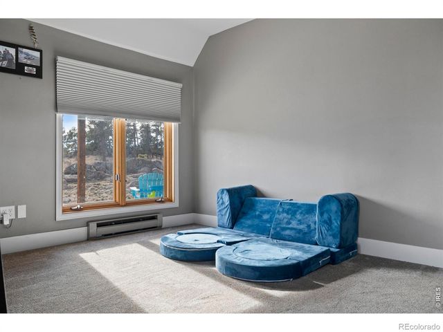 100 S Cucharas Mountain Court, Livermore, CO 80536