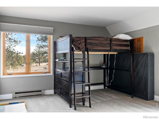 100 S Cucharas Mountain Court, Livermore, CO 80536