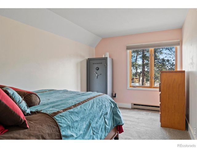 100 S Cucharas Mountain Court, Livermore, CO 80536