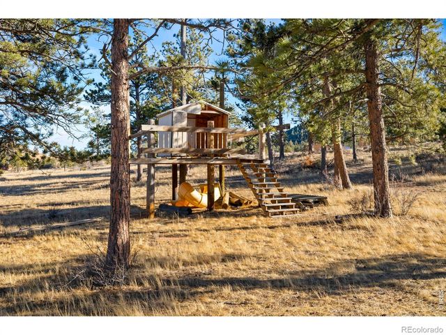 100 S Cucharas Mountain Court, Livermore, CO 80536