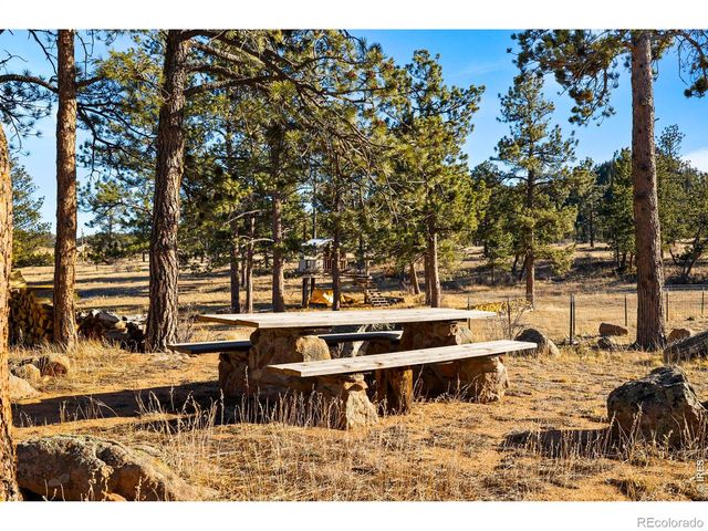 100 S Cucharas Mountain Court, Livermore, CO 80536