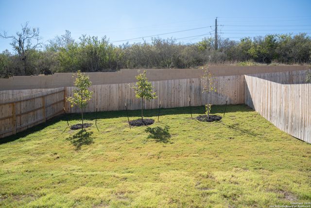 5903 cosmic crisp, San Antonio, TX 78252