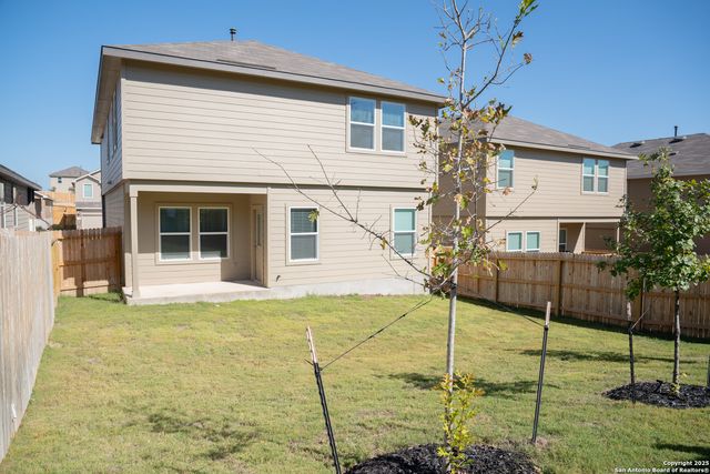 5903 cosmic crisp, San Antonio, TX 78252