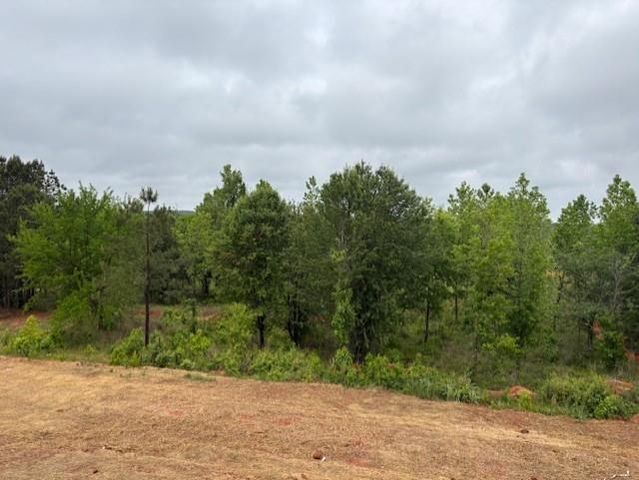 1020 Reagan Drive, Madison, GA 30650