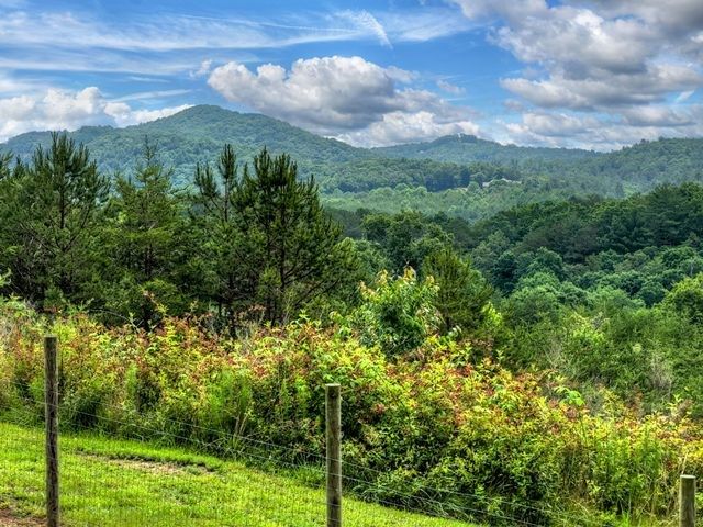 384 Dean Road, Mineral Bluff, GA 30559
