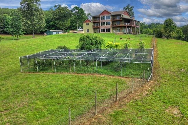 384 Dean Road, Mineral Bluff, GA 30559