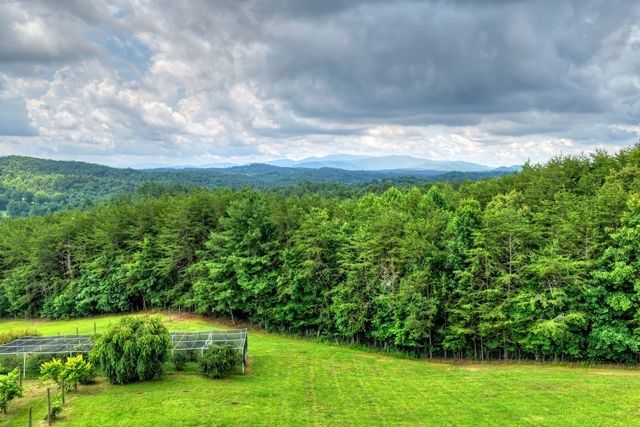 384 Dean Road, Mineral Bluff, GA 30559