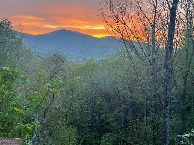 420 Hidden Acres Lane, Clayton, GA 30525