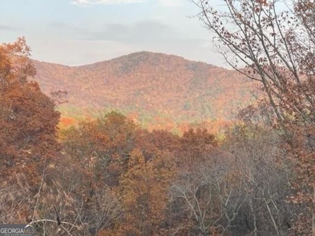 420 Hidden Acres Lane, Clayton, GA 30525