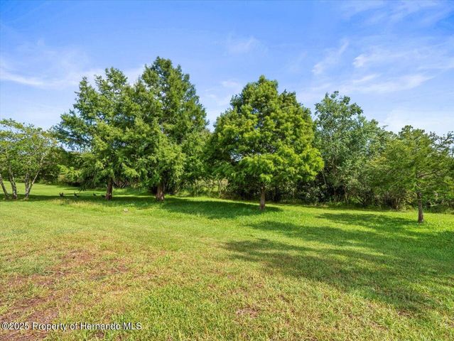 8698 Mississippi Run, Weeki Wachee, FL 34613