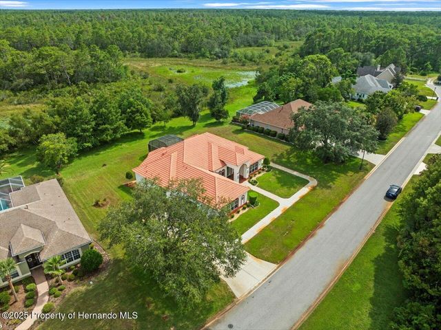 8698 Mississippi Run, Weeki Wachee, FL 34613