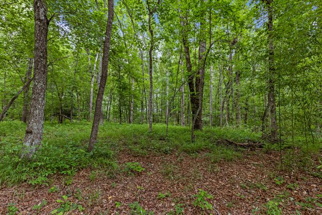 7055 Mooneyham Lonewood Road, Spencer, TN 38585