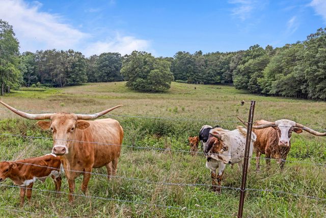7055 Mooneyham Lonewood Road, Spencer, TN 38585