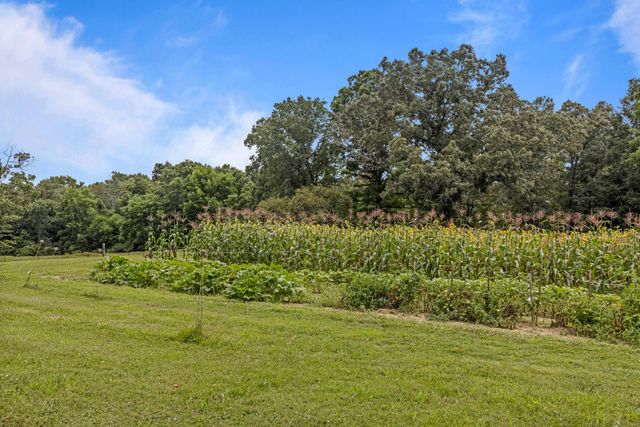 7055 Mooneyham Lonewood Road, Spencer, TN 38585