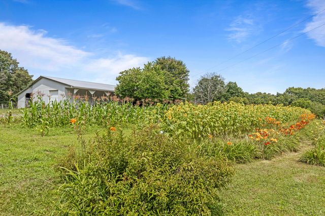7055 Mooneyham Lonewood Road, Spencer, TN 38585