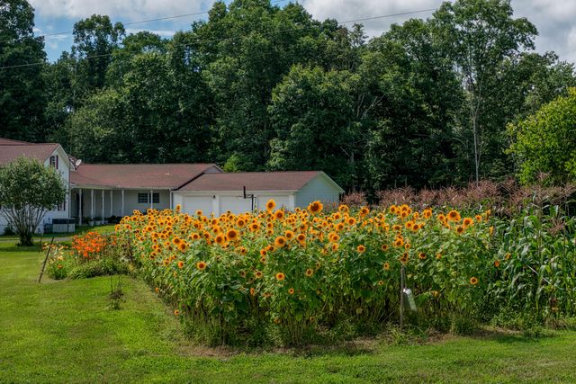 7055 Mooneyham Lonewood Road, Spencer, TN 38585