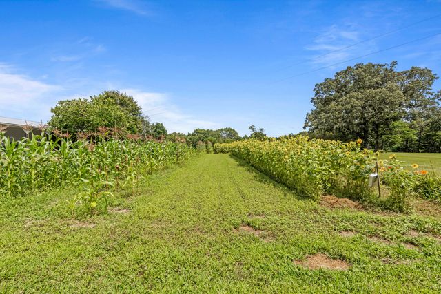 7055 Mooneyham Lonewood Road, Spencer, TN 38585