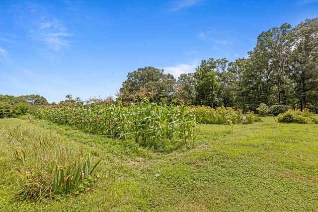 7055 Mooneyham Lonewood Road, Spencer, TN 38585