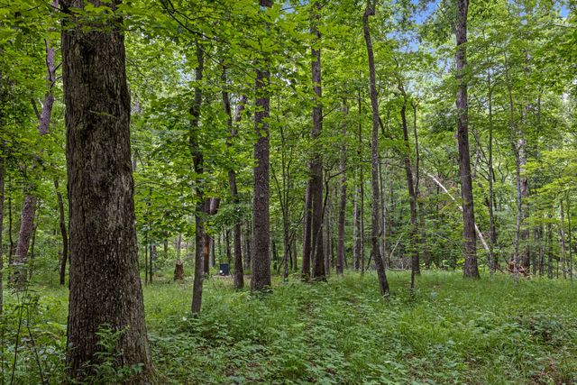 7055 Mooneyham Lonewood Road, Spencer, TN 38585
