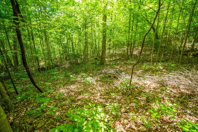 1051 Kelley Lane Spann Hill, Monticello, KY 42633